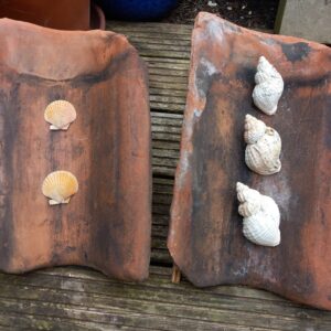 Shell tiles
